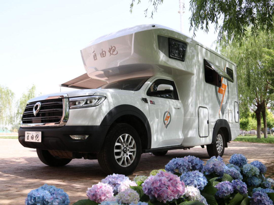 為自由著色！紅、白、藍(lán)、棕，你選哪一種？