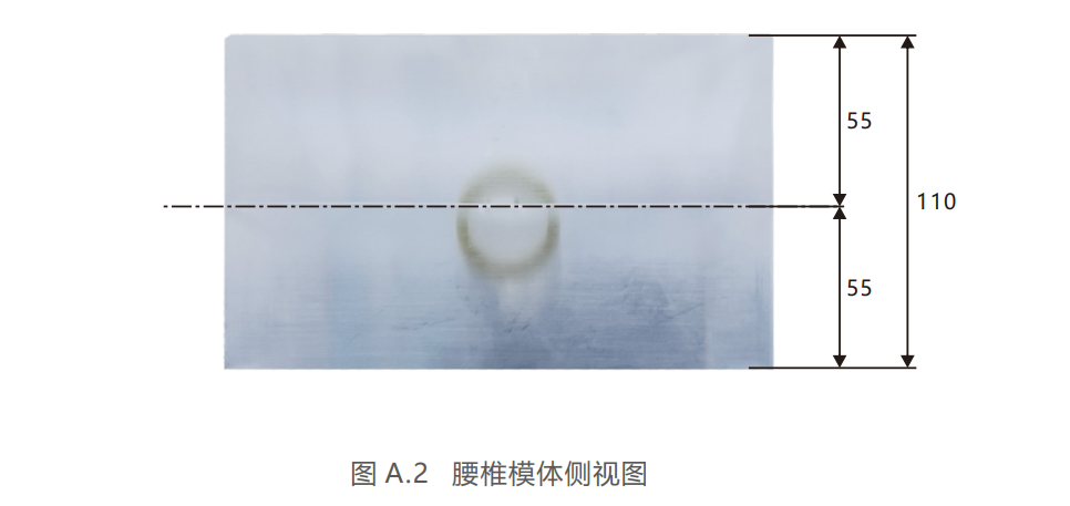 1738143604895 1738143604895