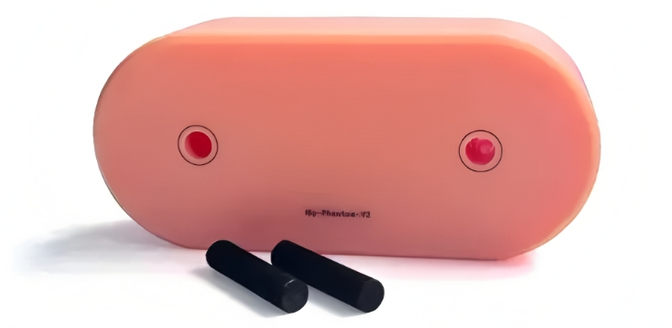 臀部模體(髖關節模體)