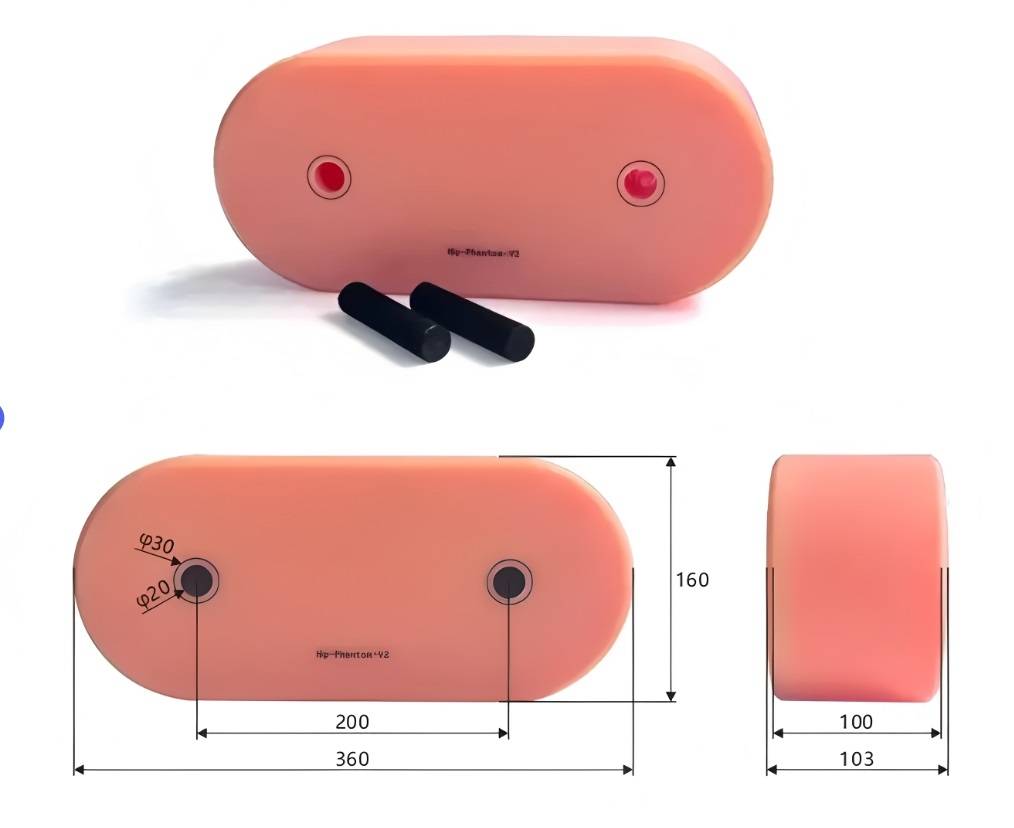 臀部模體 臀部模體