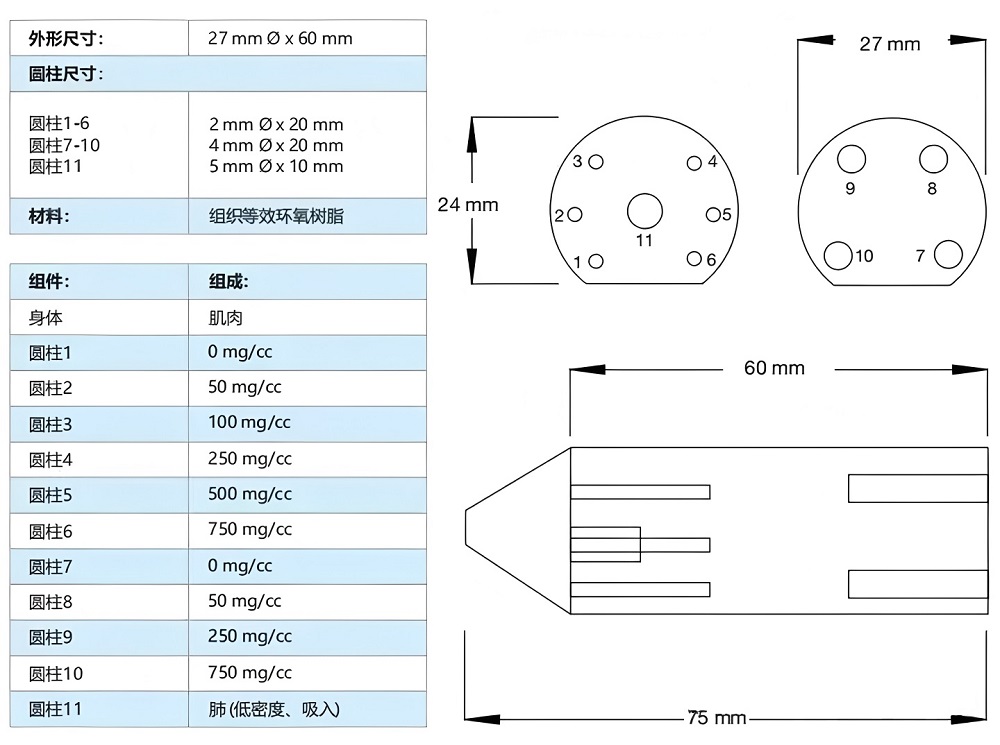 小鼠模型 3 小鼠模型 3